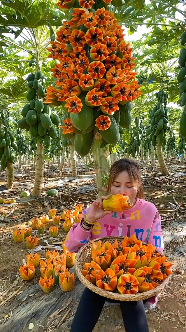 木瓜影院手机版最新电影电视剧木瓜影院第1集